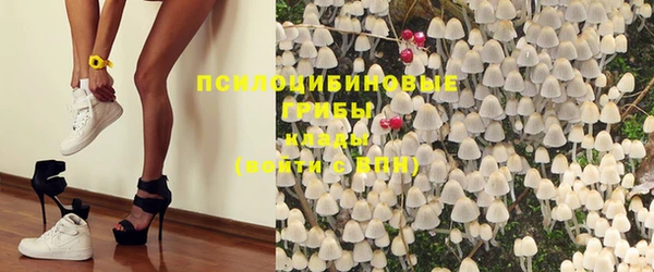 ГАЛЛЮЦИНОГЕННЫЕ ГРИБЫ Каменск-Шахтинский