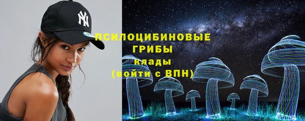 кокаин Каменка
