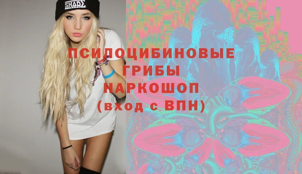 ГАЛЛЮЦИНОГЕННЫЕ ГРИБЫ Каменск-Шахтинский